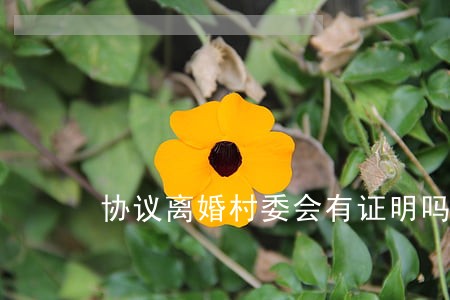 协议离婚村委会有证明吗 协议离婚村委会有证明吗