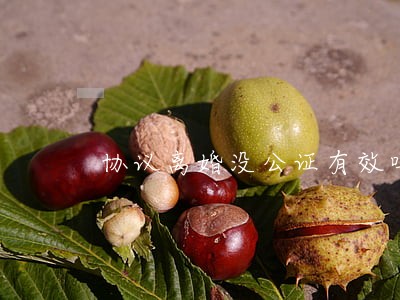 协议离婚没公证有效吗 协议离婚没公证有效吗