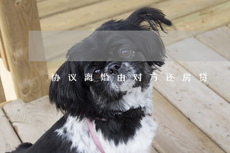协议离婚由对方还房贷 协议离婚由对方还房贷