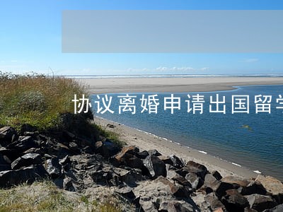 协议离婚申请出国留学 协议离婚申请出国留学