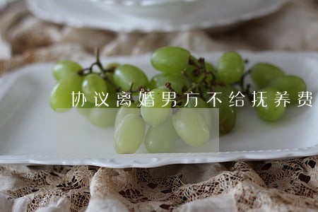 协议离婚男方不给抚养费可以吗 协议离婚男方不给抚养费可以吗