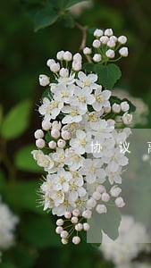 协议离婚男方户口迁移 协议离婚男方户口迁移