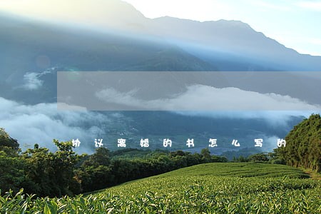 协议离婚的书怎么写的