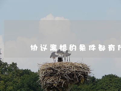 协议离婚的条件都有什么 协议离婚的条件都有什么