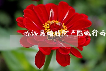 协议离婚的财产能执行吗 协议离婚的财产能执行吗