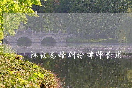 协议离婚纠纷律师费用 协议离婚纠纷律师费用