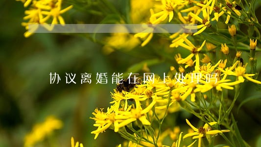 协议离婚能在网上处理吗 协议离婚能在网上处理吗