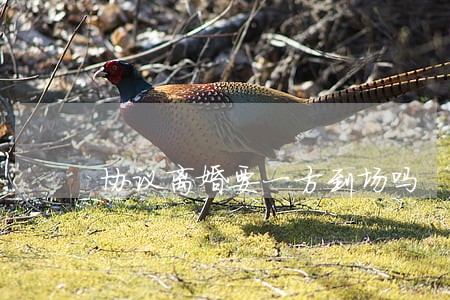 协议离婚要一方到场吗