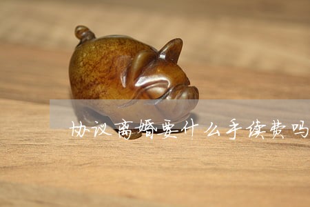 协议离婚要什么手续费吗