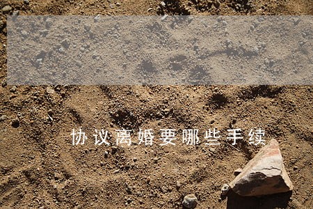 协议离婚要哪些手续 协议离婚要哪些手续