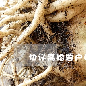 协议离婚要户口本吗 协议离婚要户口本吗