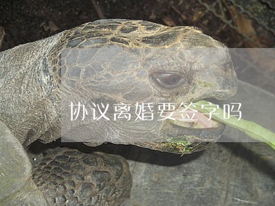 协议离婚要签字吗 协议离婚要签字吗