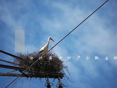 协议离婚财产分配生效