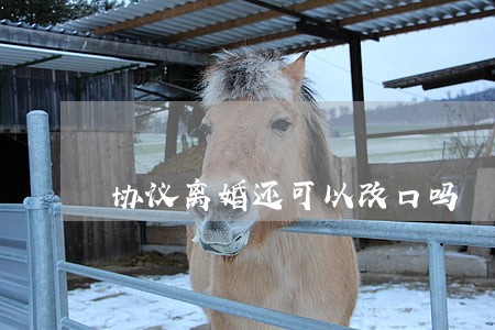协议离婚还可以改口吗 协议离婚还可以改口吗