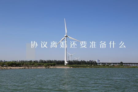 协议离婚还要准备什么 协议离婚还要准备什么