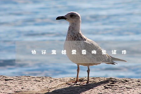 协议离婚需要哪些证件 协议离婚需要哪些证件