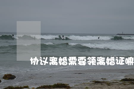 协议离婚需要领离婚证嘛 协议离婚需要领离婚证嘛