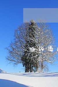 协议违法致5亿补偿泡 协议违法致5亿补偿泡