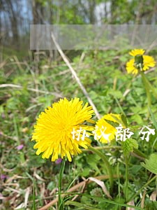 协议部分条款违法 协议部分条款违法