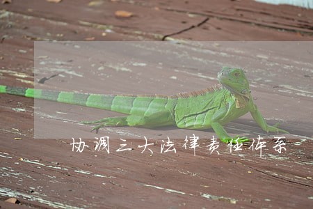 协调三大法律责任体系 协调三大法律责任体系