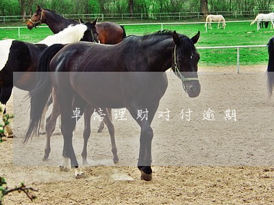 卓信理财对付逾期 卓信理财对付逾期