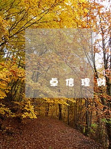 卓信理财逾期兑付