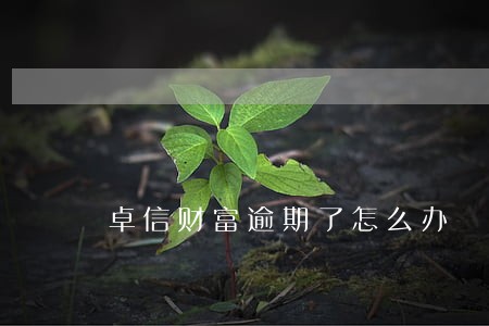 卓信财富逾期了怎么办 卓信财富逾期了怎么办