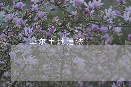 卓尔土地违法 卓尔土地违法