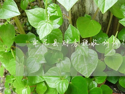 卓尼县财务税收纠纷律师 卓尼县财务税收纠纷律师
