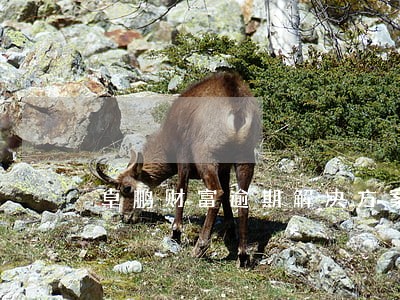 卓鹏财富逾期解决方案 卓鹏财富逾期解决方案