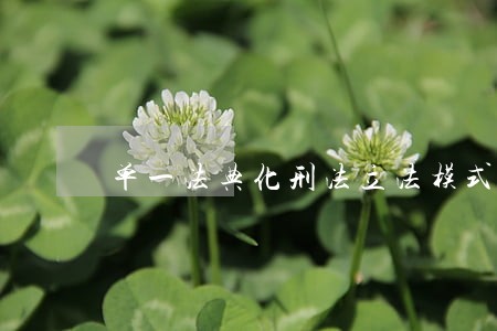 单一法典化刑法立法模式分析 单一法典化刑法立法模式分析