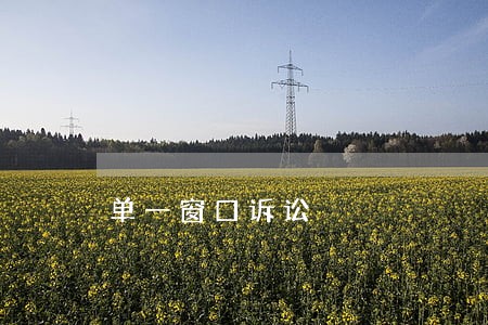 单一窗口诉讼 单一窗口诉讼