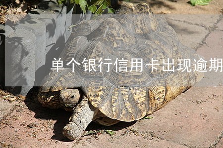 单个银行信用卡出现逾期 单个银行信用卡出现逾期