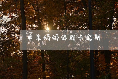 单亲妈妈信用卡逾期 单亲妈妈信用卡逾期