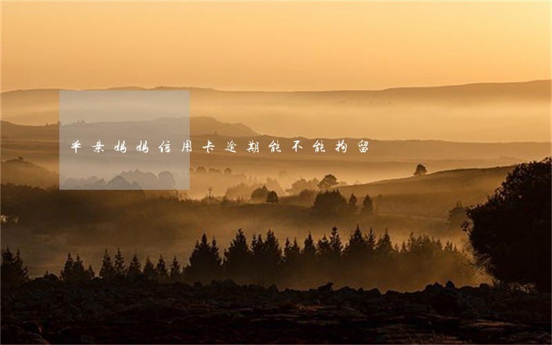单亲妈妈信用卡逾期能不能拘留 单亲妈妈信用卡逾期能不能拘留