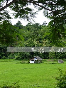 单位一把手遵守财经法规情况