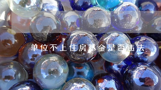 单位不上住房基金是否违法