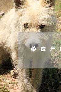 单位产假回来不给安排岗位违法吗 单位产假回来不给安排岗位违法吗