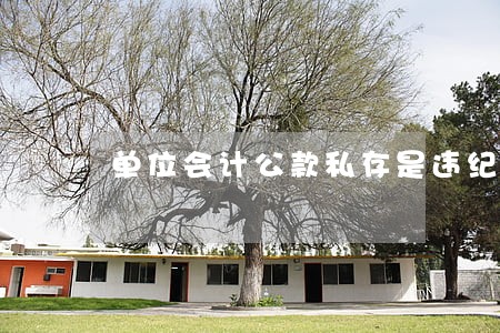 单位会计公款私存是违纪还是违法 单位会计公款私存是违纪还是违法