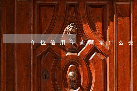 单位信用卡逾期拿什么去查 单位信用卡逾期拿什么去查