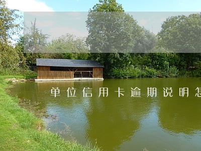 单位信用卡逾期说明怎么写 单位信用卡逾期说明怎么写
