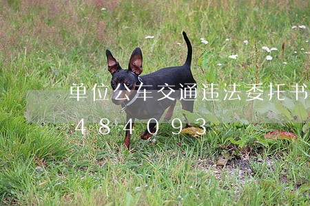 单位公车交通违法委托书/2023020484093 单位公车交通违法委托书/2023020484093