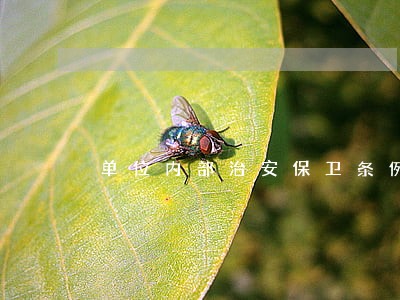 单位内部治安保卫条例共78页 单位内部治安保卫条例共78页