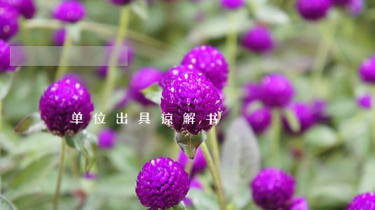 单位出具谅解书 单位出具谅解书