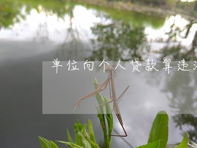 单位向个人贷款算违法吗 单位向个人贷款算违法吗