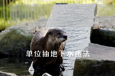 单位抽地下水违法 单位抽地下水违法