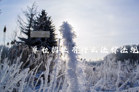 单位招工有什么法律法规 单位招工有什么法律法规