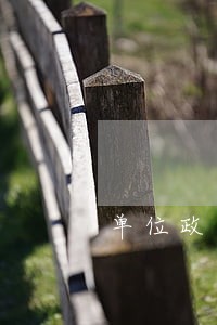 单位政审对网贷逾期要求