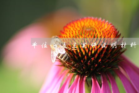单位无违法案件证明材料 单位无违法案件证明材料