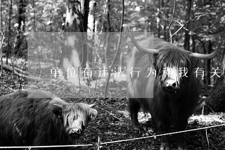 单位有违法行为和我有关系吗 单位有违法行为和我有关系吗